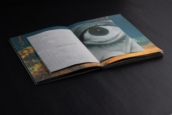 Petricor - Image 3